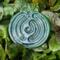 Crushed Velvet:
Deep green ceramic finger labyrinth with a metallic finish, crafted for meditation and calming touch. Exterior photo. 